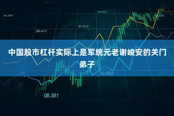 中国股市杠杆实际上是军统元老谢峻安的关门弟子